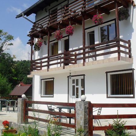 Vila Doina Branului Bran  Zewnętrze zdjęcie