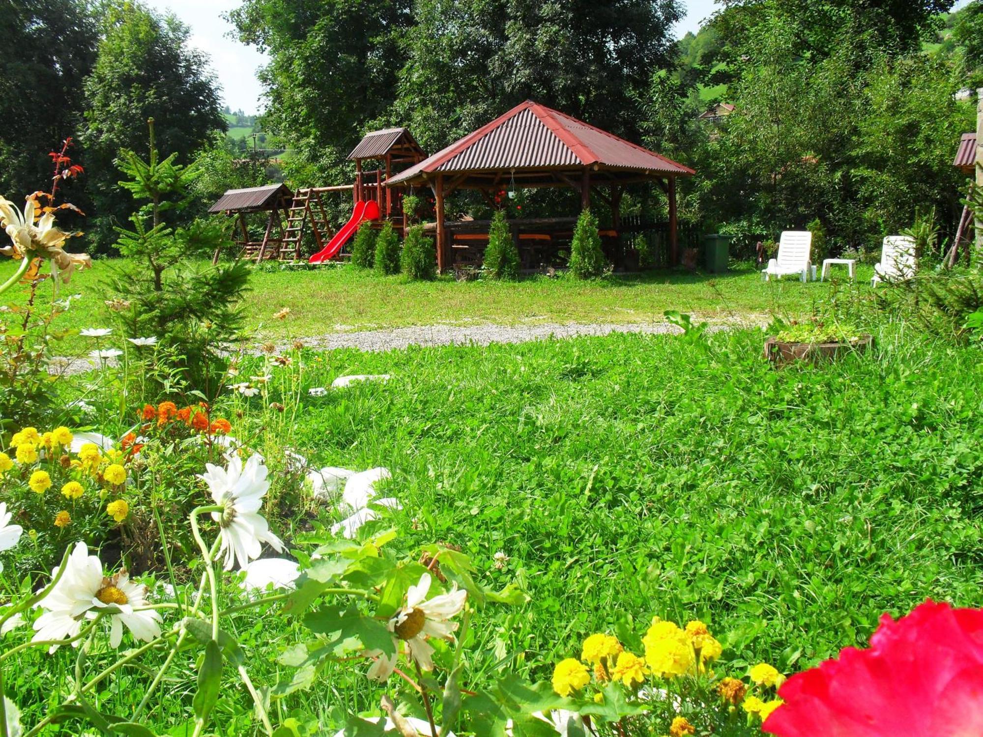 Vila Doina Branului Bran  Zewnętrze zdjęcie