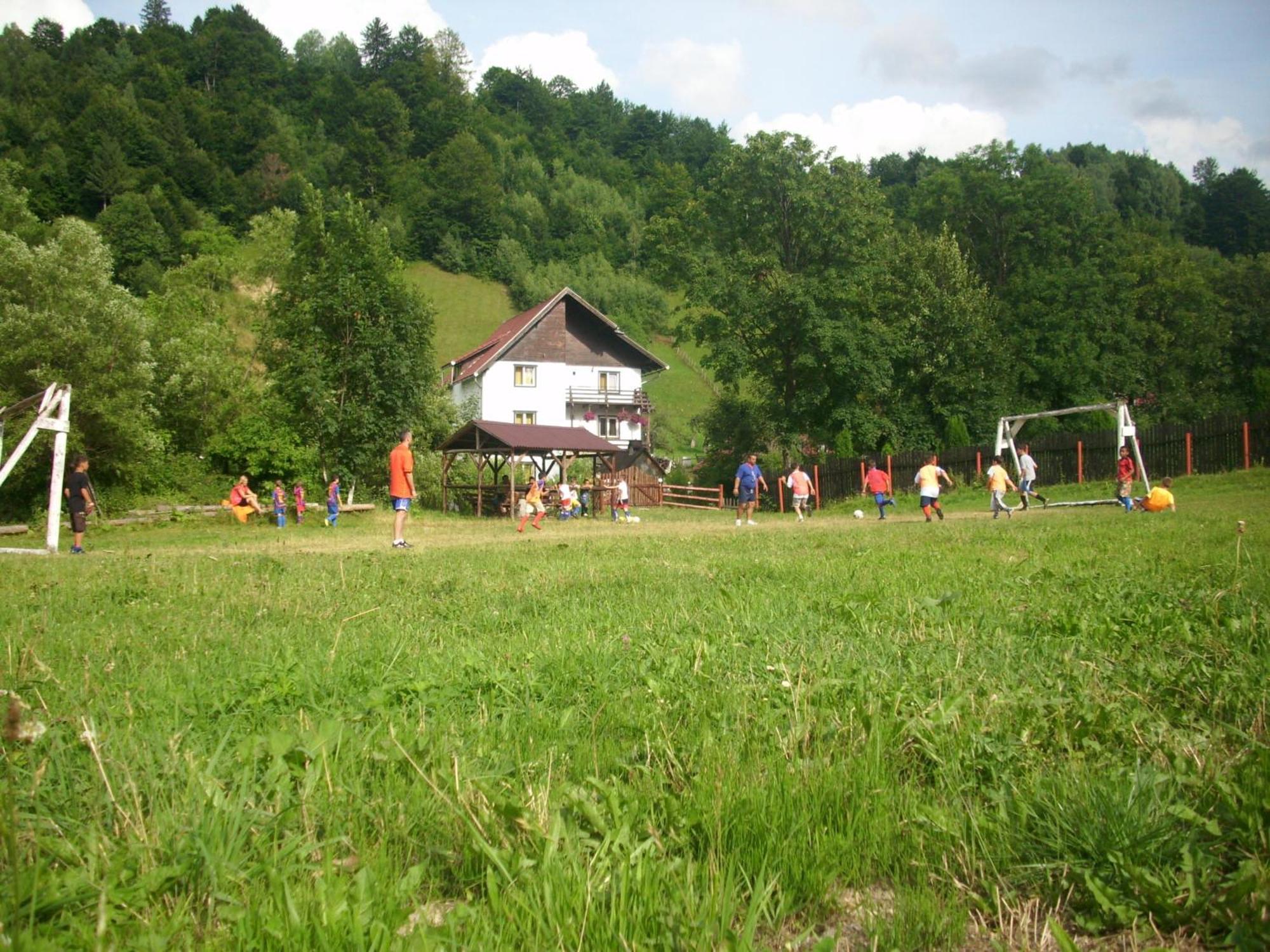 Vila Doina Branului Bran  Zewnętrze zdjęcie