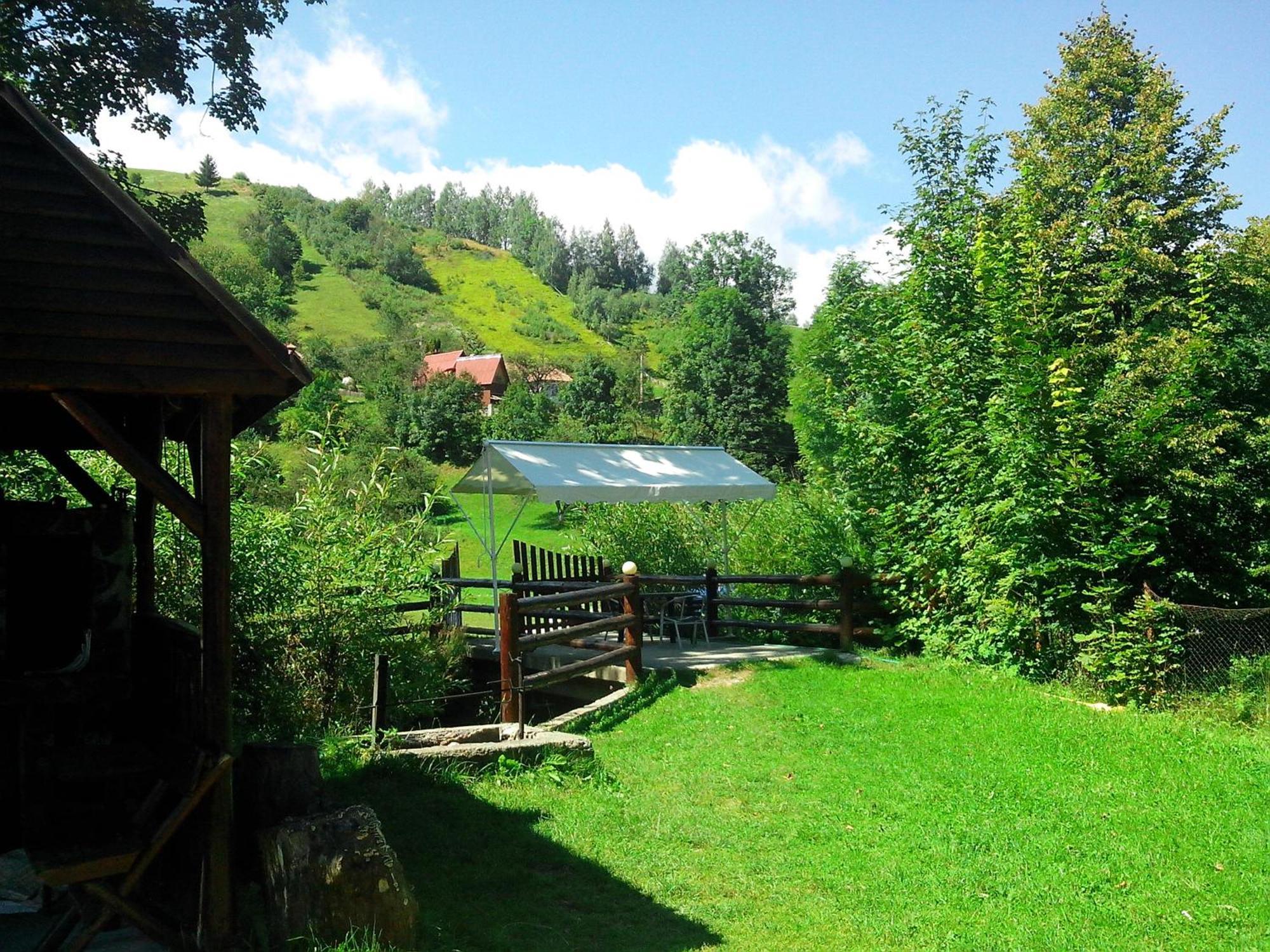 Vila Doina Branului Bran  Zewnętrze zdjęcie